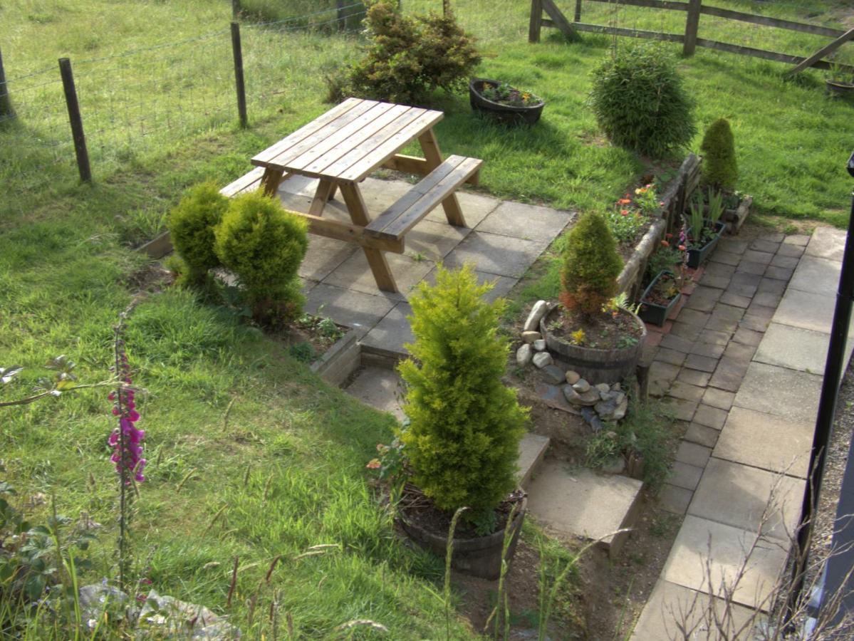 Abergwynant Farm Glamping & Apartments Dolgellau Εξωτερικό φωτογραφία