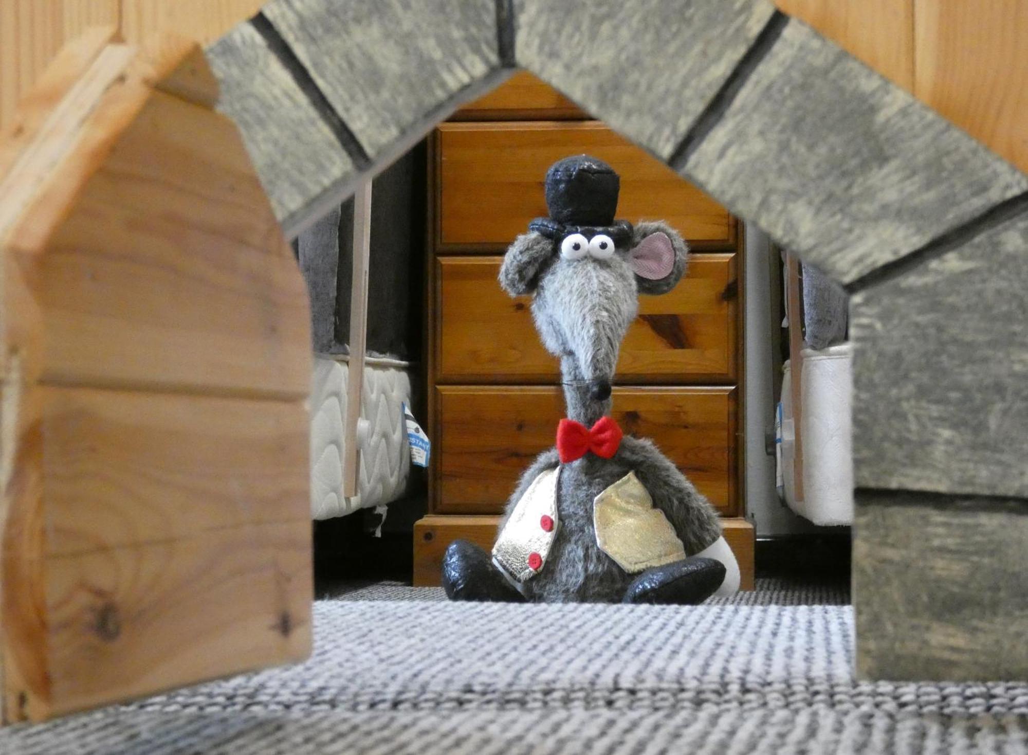 Abergwynant Farm Glamping & Apartments Dolgellau Εξωτερικό φωτογραφία